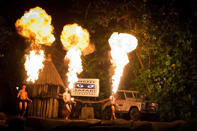 Night Safari Singapore (Sở thú đêm Singapore)